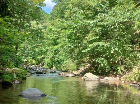 夏のアマゴは難しい